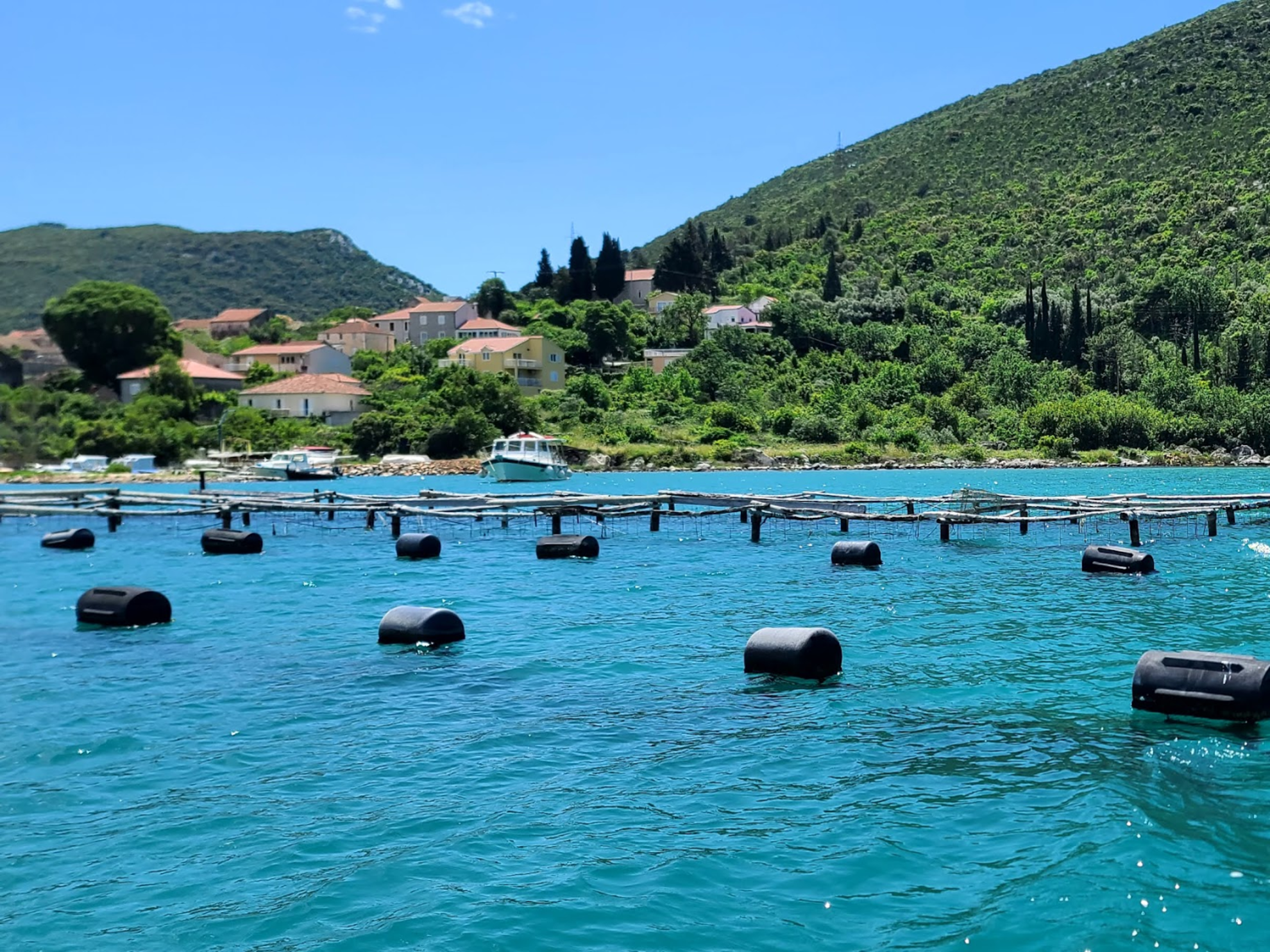 Picture of Pearls of the Croatian Coast Picture of Pearls of the Croatian Coast