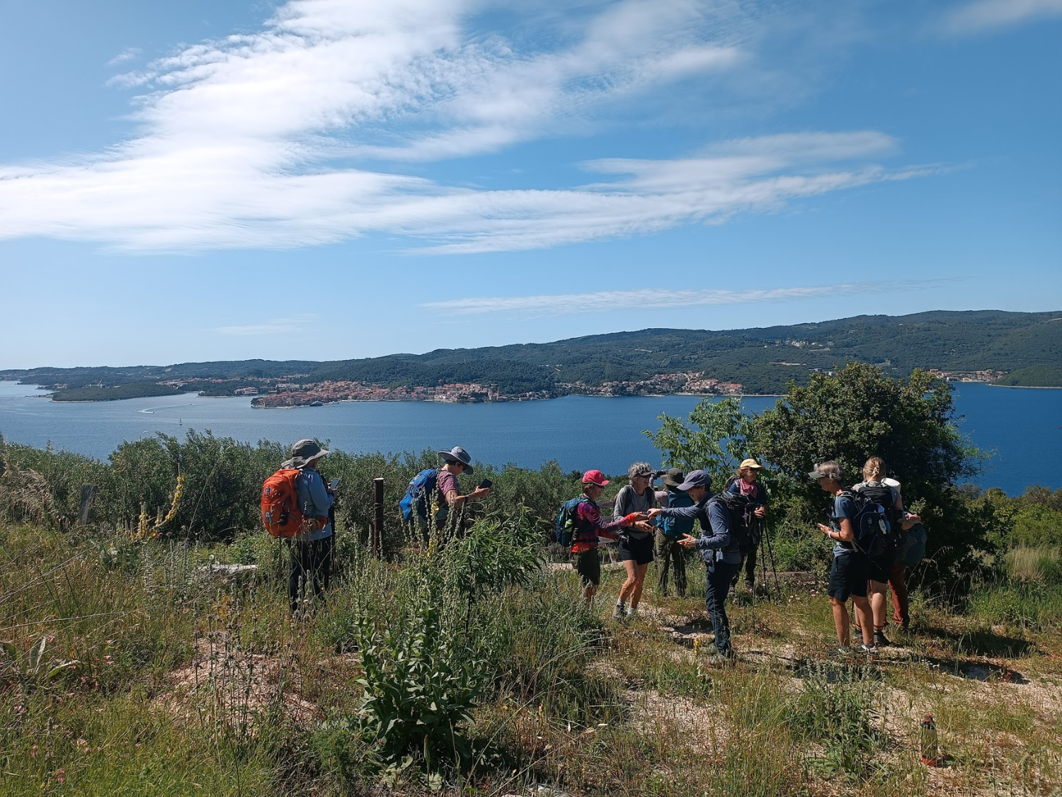 Picture of Pearls of the Croatian Coast