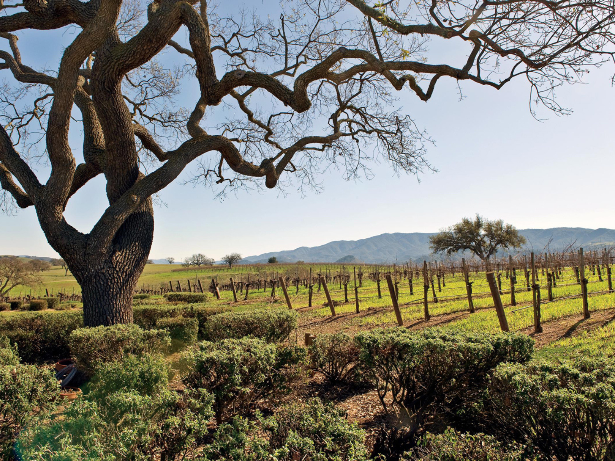 Picture of Santa Barbara Coastal Escape
