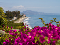 Picture of Santa Barbara Coastal Escape