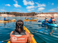 Picture of Santa Barbara Coastal Escape