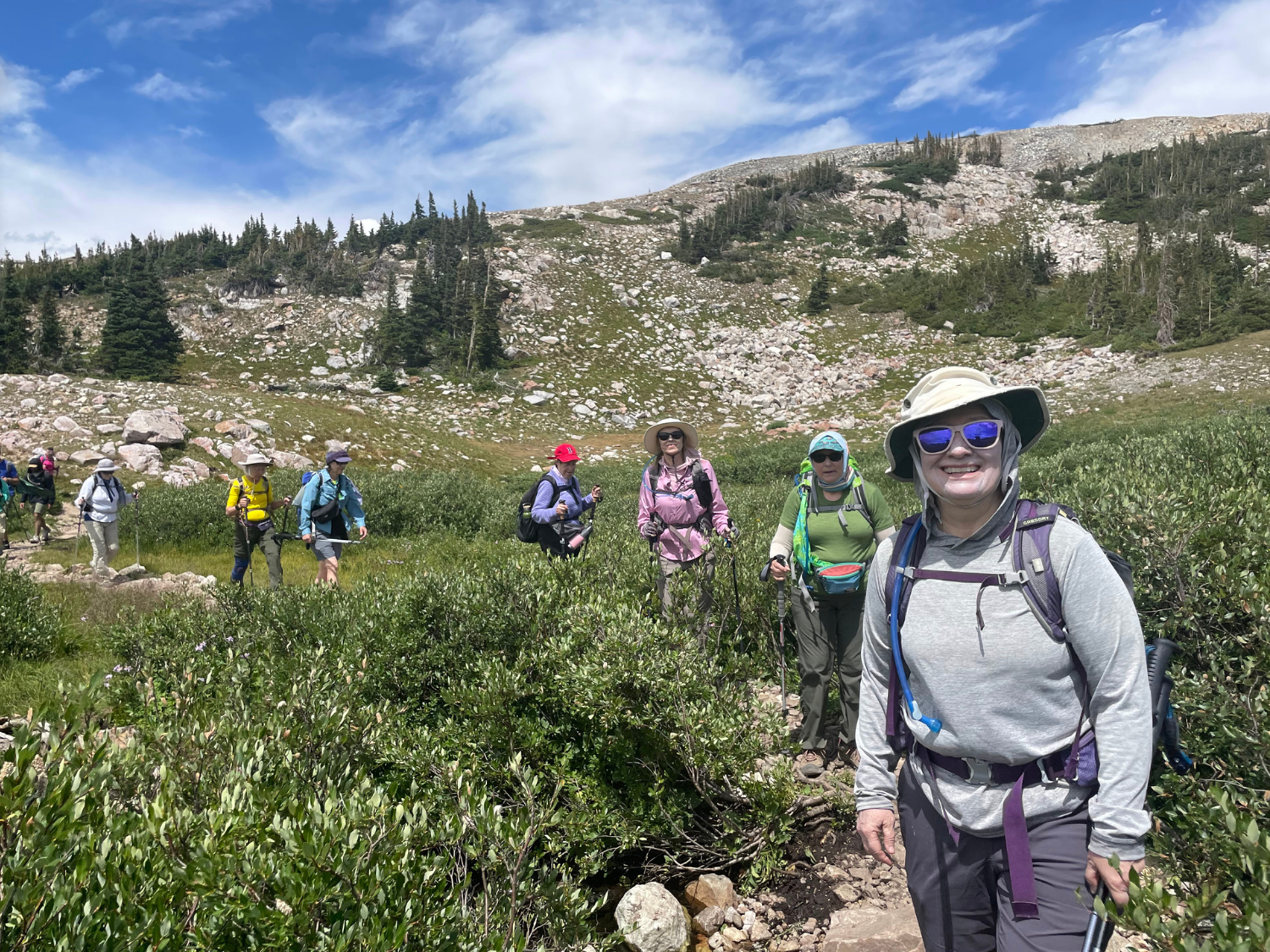 Picture of Art of Mountain Hiking - Snowy Range Picture of Art of Mountain Hiking - Snowy Range