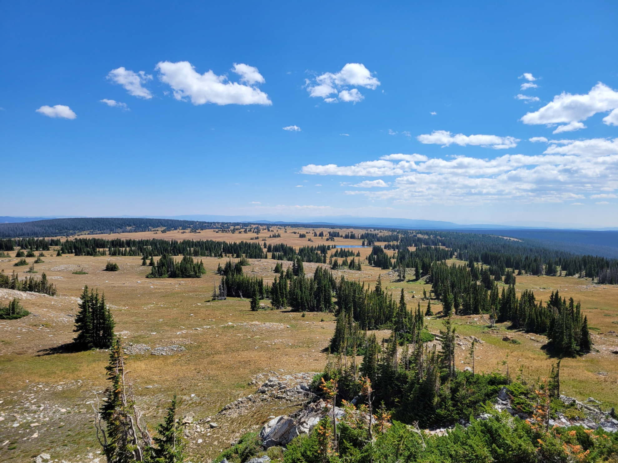 Picture of Living the Cowgirl Life Picture of Living the Cowgirl Life