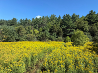 Picture of Slackpacking® Vermont Picture of Slackpacking® Vermont