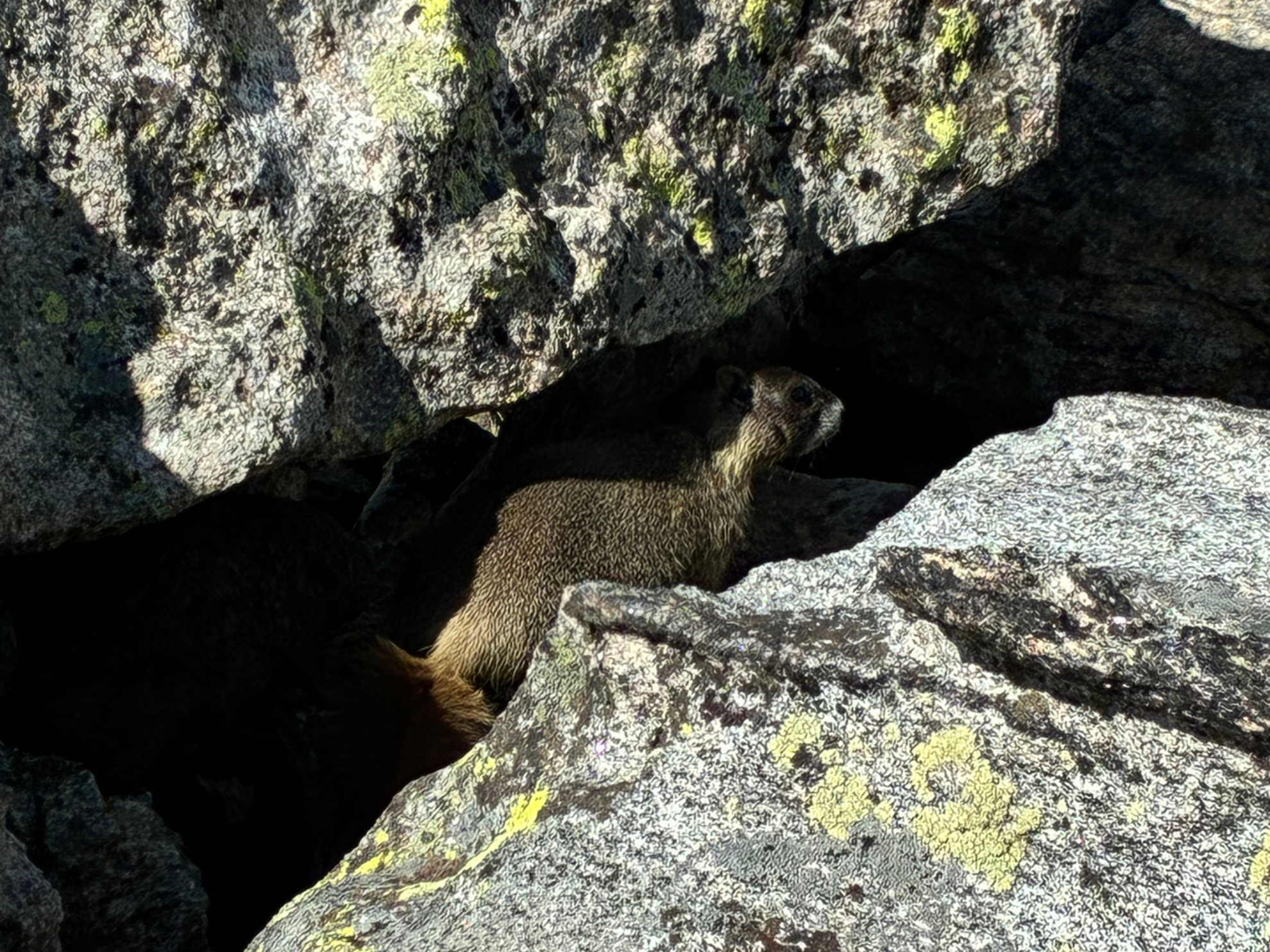 Picture of Peak Pursuits in Colorado's Rocky Mountain National Park Picture of Peak Pursuits in Colorado's Rocky Mountain National Park
