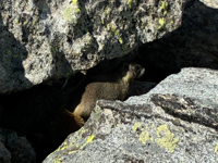 Picture of Peak Pursuits in Colorado's Rocky Mountain National Park Picture of Peak Pursuits in Colorado's Rocky Mountain National Park
