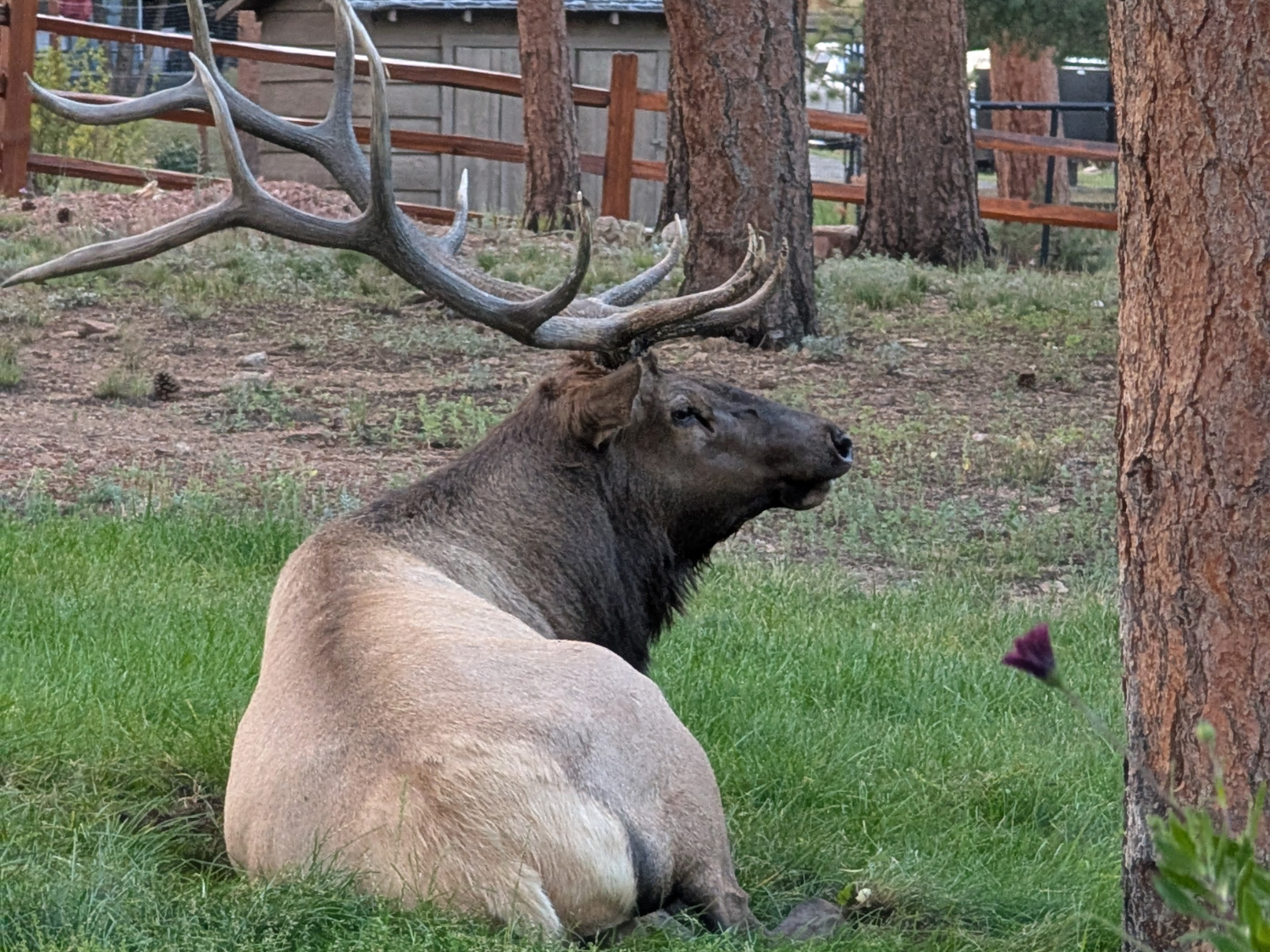Picture of Peak Pursuits in Colorado's Rocky Mountain National Park