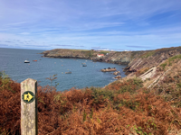 Picture of Hiking Wales