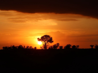 Picture of Tanzania Journey: Ngorongoro Highlands Trek and Wildlife Safari Picture of Tanzania Journey: Ngorongoro Highlands Trek and Wildlife Safari