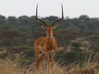 Picture of Tanzania Journey: Ngorongoro Highlands Trek and Wildlife Safari Picture of Tanzania Journey: Ngorongoro Highlands Trek and Wildlife Safari