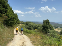 Picture of On the Camino de Santiago Picture of On the Camino de Santiago