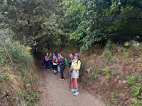 Picture of On the Camino de Santiago Picture of On the Camino de Santiago