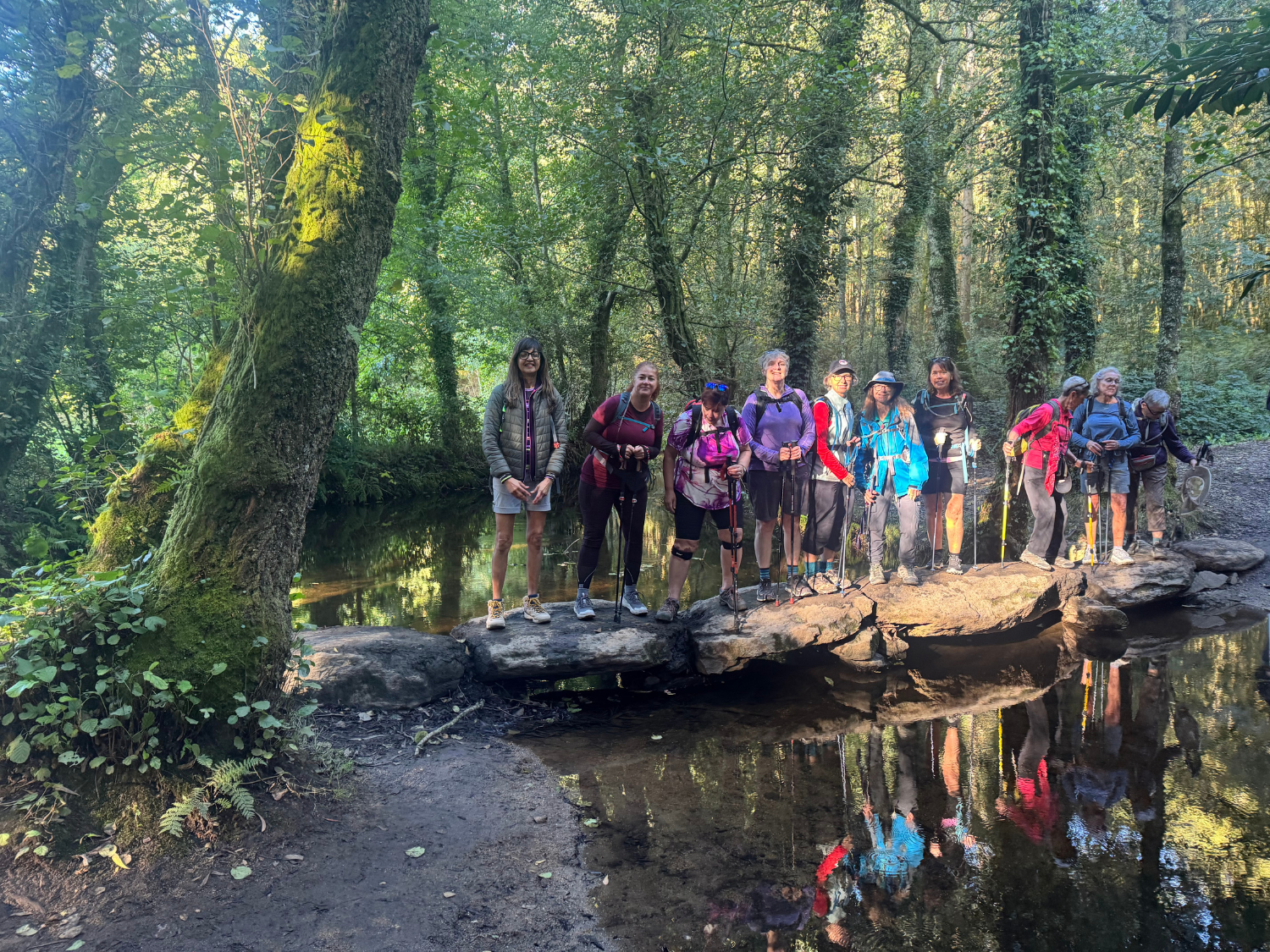Picture of On the Camino de Santiago