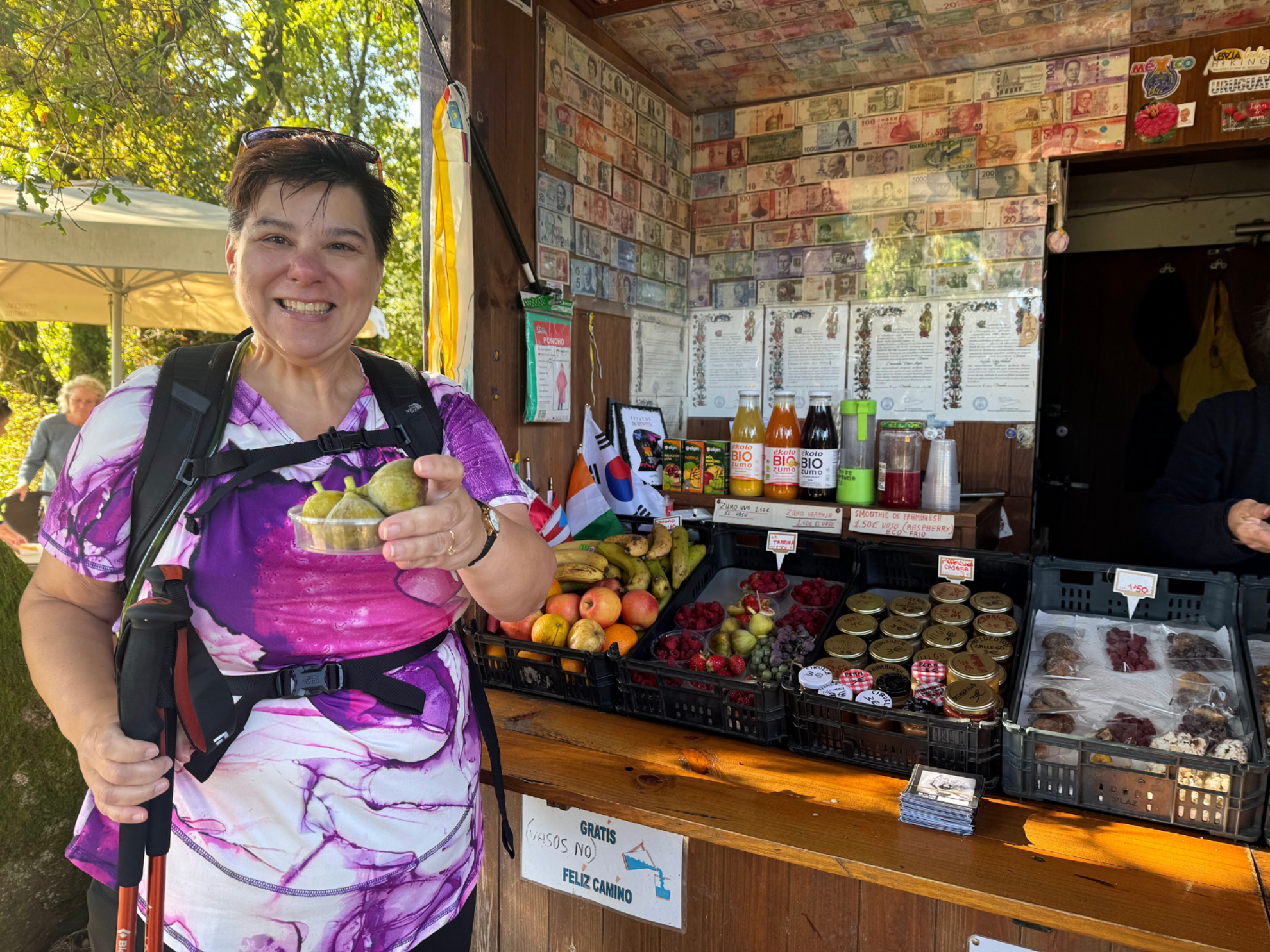 Picture of On the Camino de Santiago Picture of On the Camino de Santiago