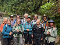 Picture of Wonder and Wellness in the Redwoods Picture of Wonder and Wellness in the Redwoods