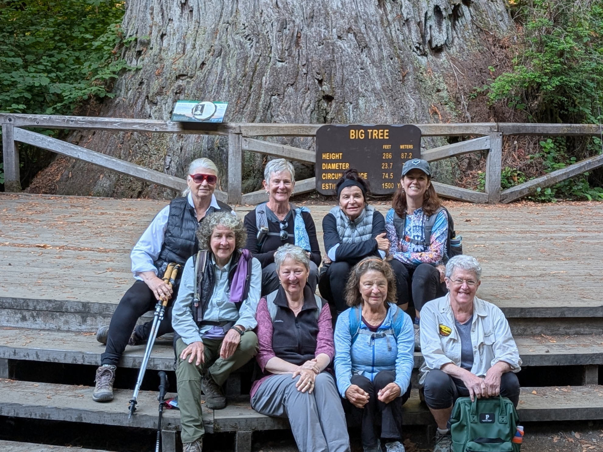 Picture of Wonder and Wellness in the Redwoods Picture of Wonder and Wellness in the Redwoods