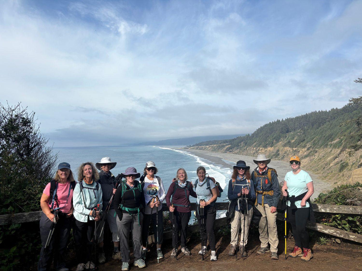 Picture of Wonder and Wellness in the Redwoods