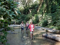 Picture of Wonder and Wellness in the Redwoods Picture of Wonder and Wellness in the Redwoods