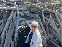 Picture of Wonder and Wellness in the Redwoods Picture of Wonder and Wellness in the Redwoods