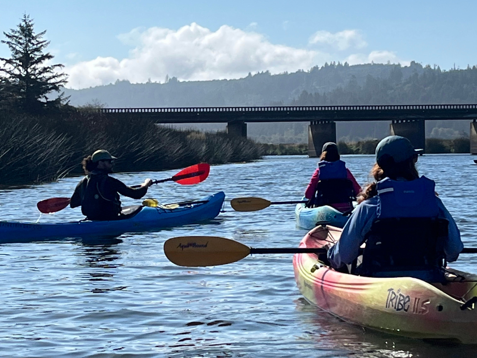 Picture of Wonder and Wellness in the Redwoods Picture of Wonder and Wellness in the Redwoods