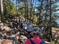 Picture of Magical Maine: Acadia National Park