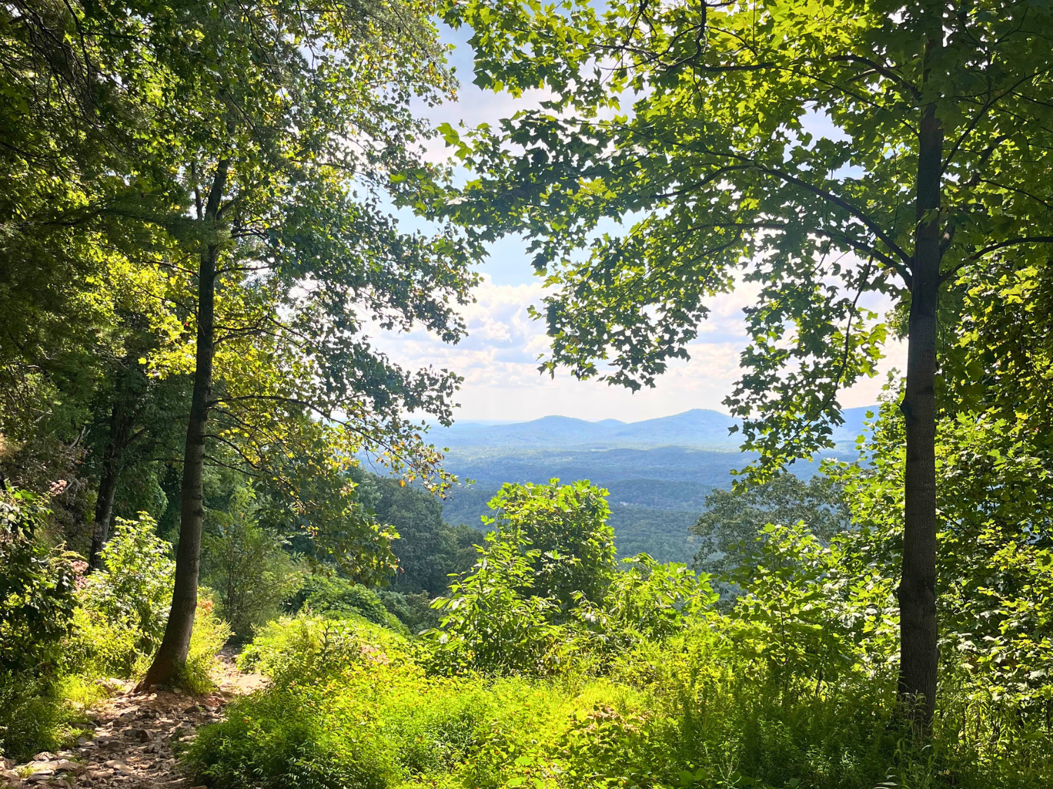 Picture of North Georgia: Appalachian Mountain Escape