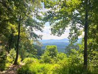 Picture of North Georgia: Appalachian Mountain Escape