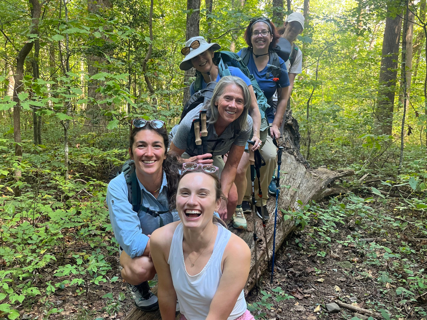 Picture of North Georgia: Appalachian Mountain Escape