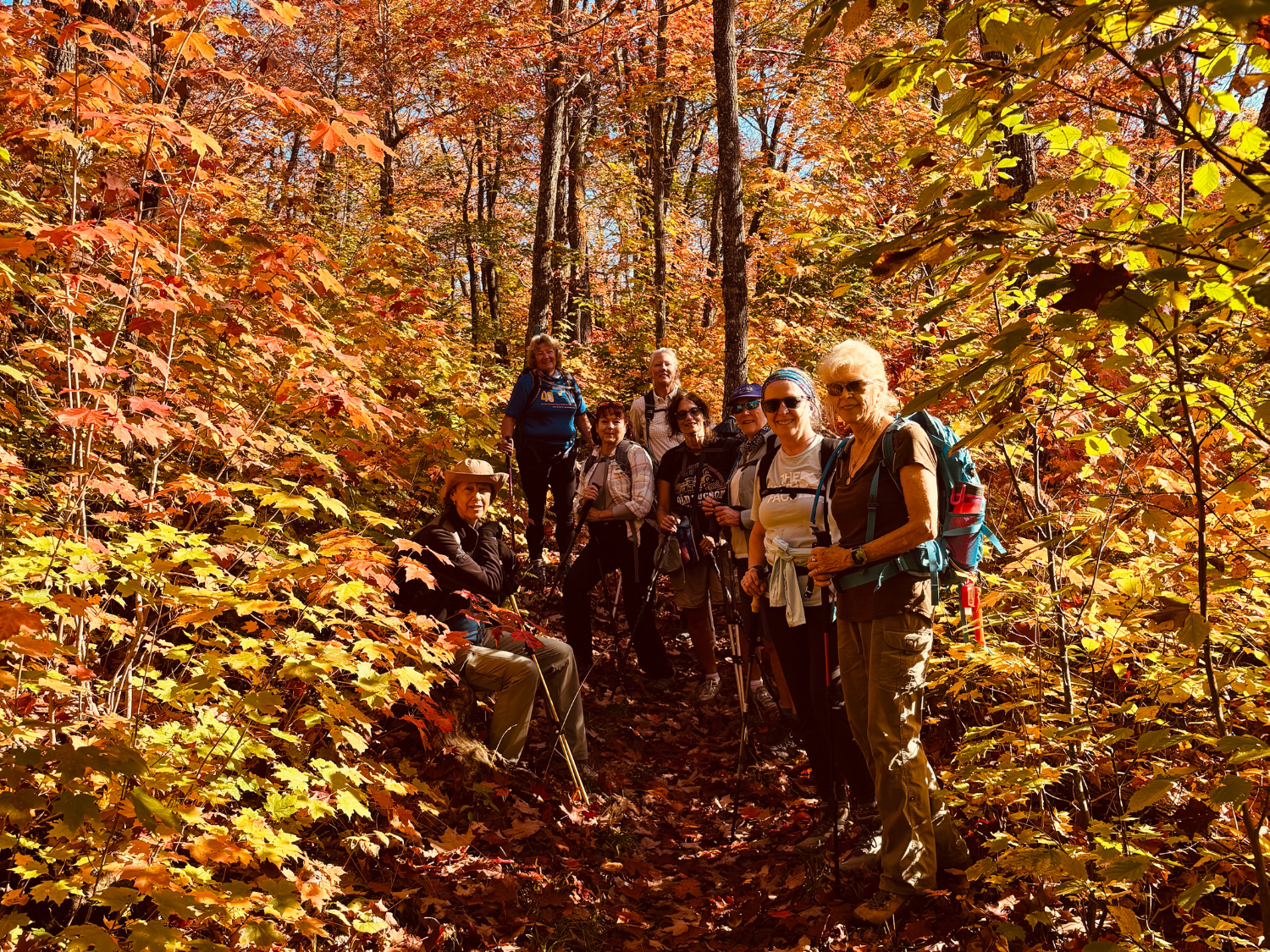 Picture of Autumn on the Superior Hiking Trail