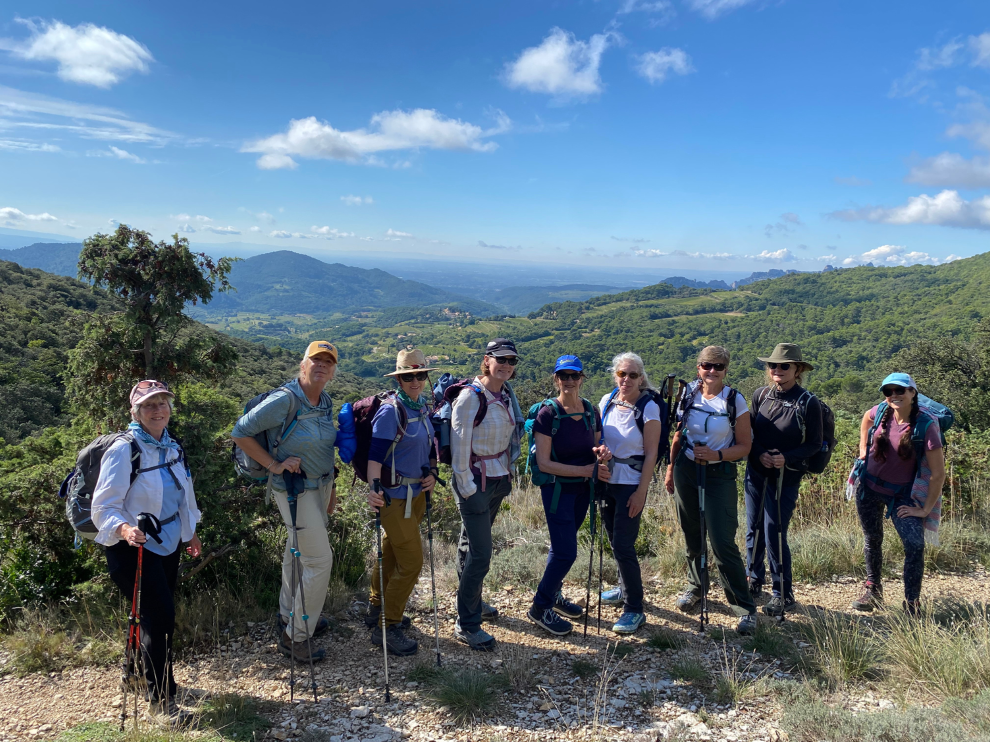 Picture of Colors of Provence