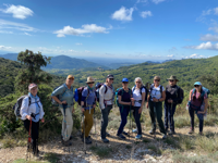 Picture of Colors of Provence