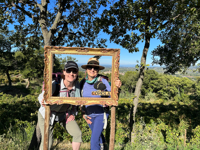 Picture of Colors of Provence