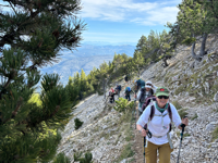 Picture of Colors of Provence
