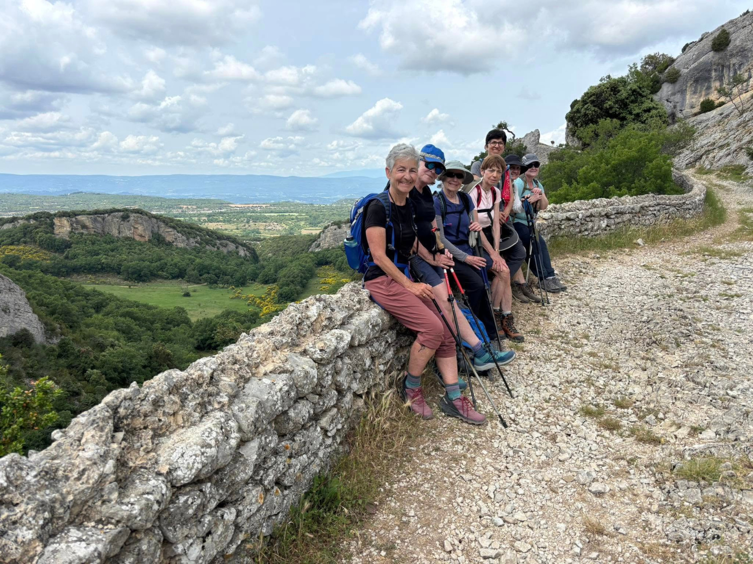 Picture of Colors of Provence
