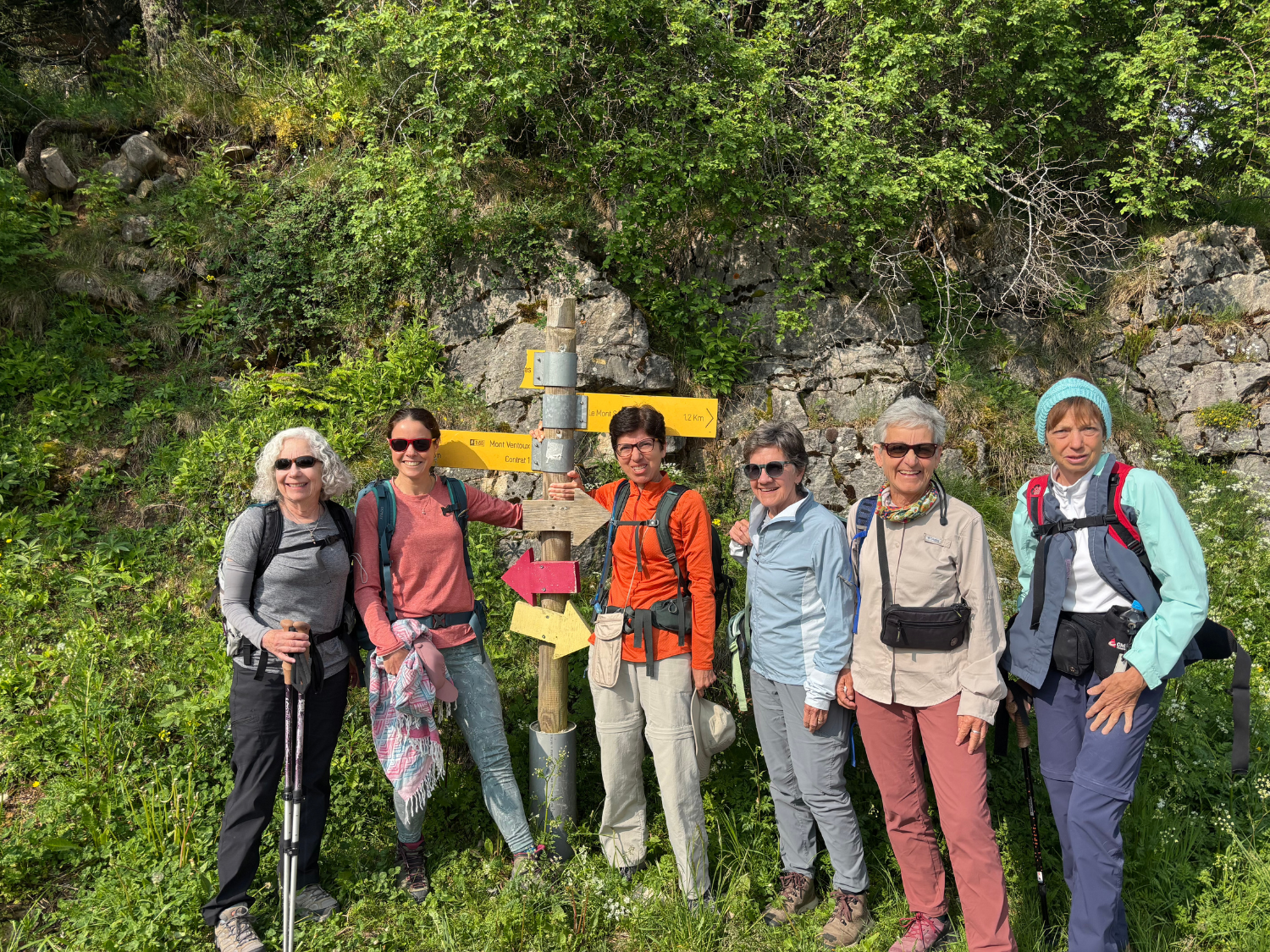 Picture of Colors of Provence