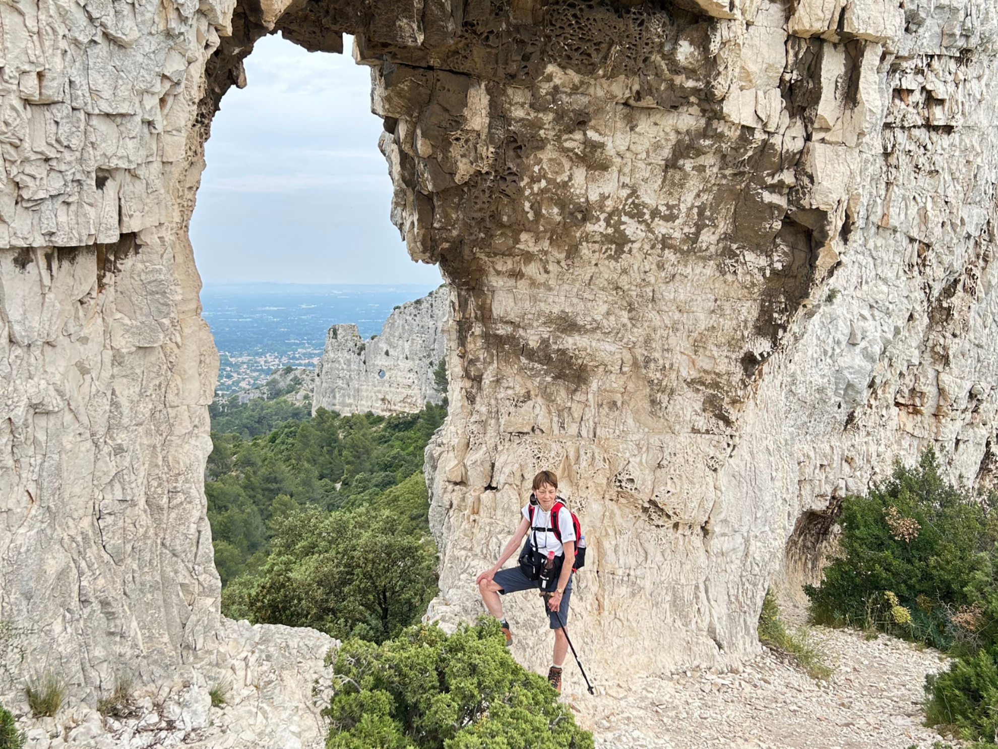 Picture of Colors of Provence