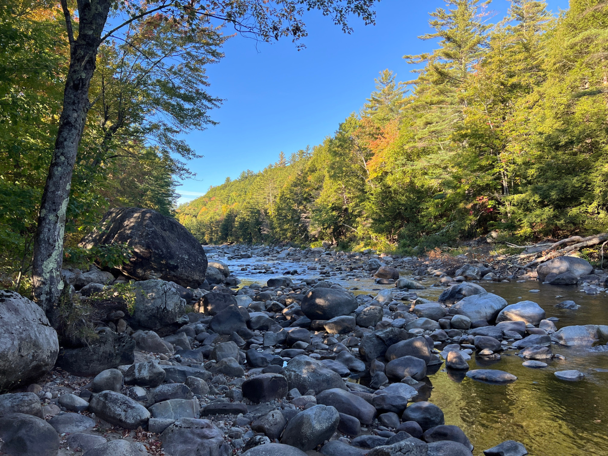 Picture of Adventures in the Adirondacks