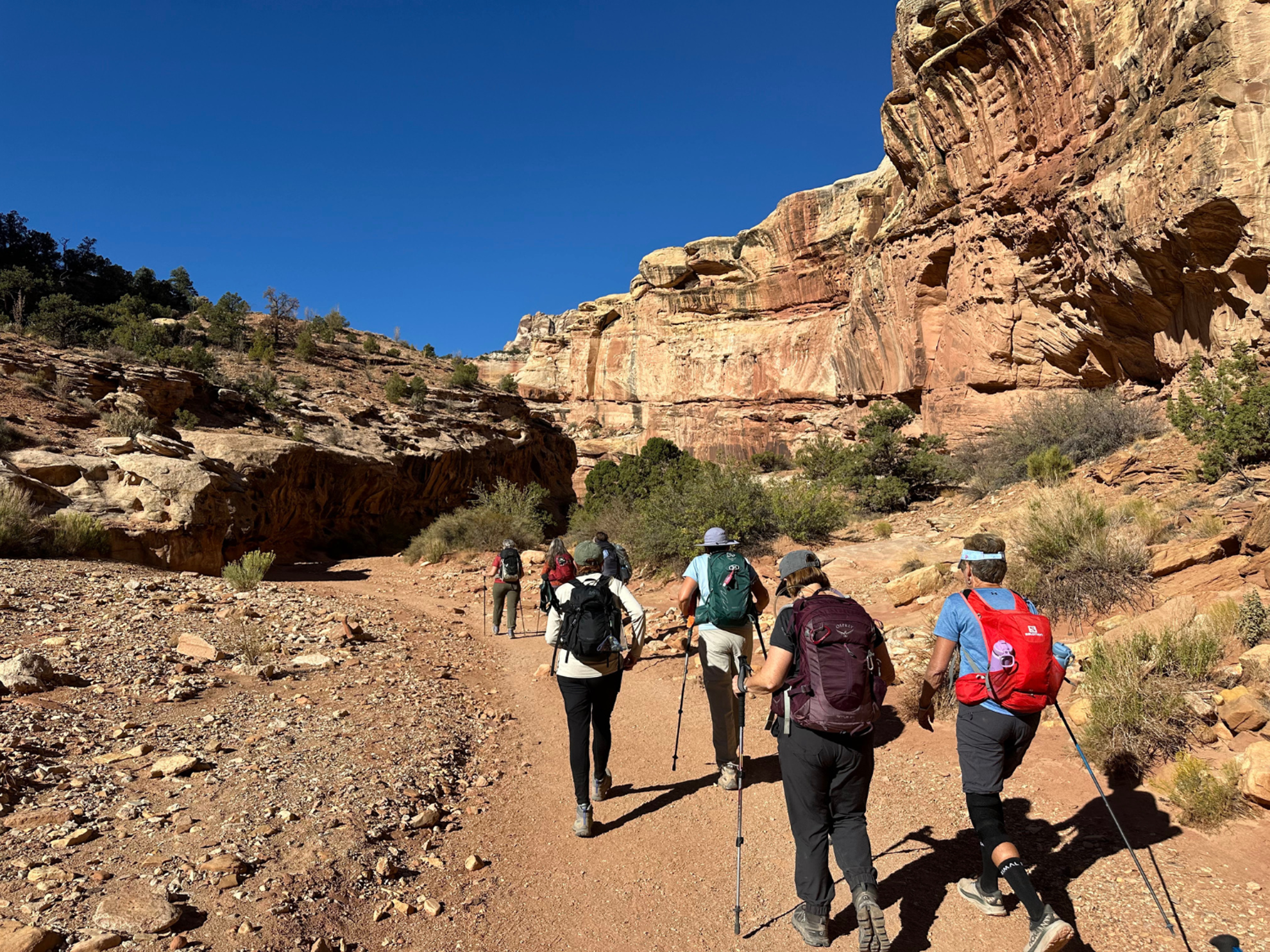 Picture of Hiking Utah's Majestic Parks Picture of Hiking Utah's Majestic Parks