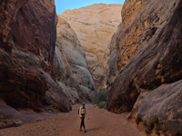 Picture of Hiking Utah's Majestic Parks Picture of Hiking Utah's Majestic Parks