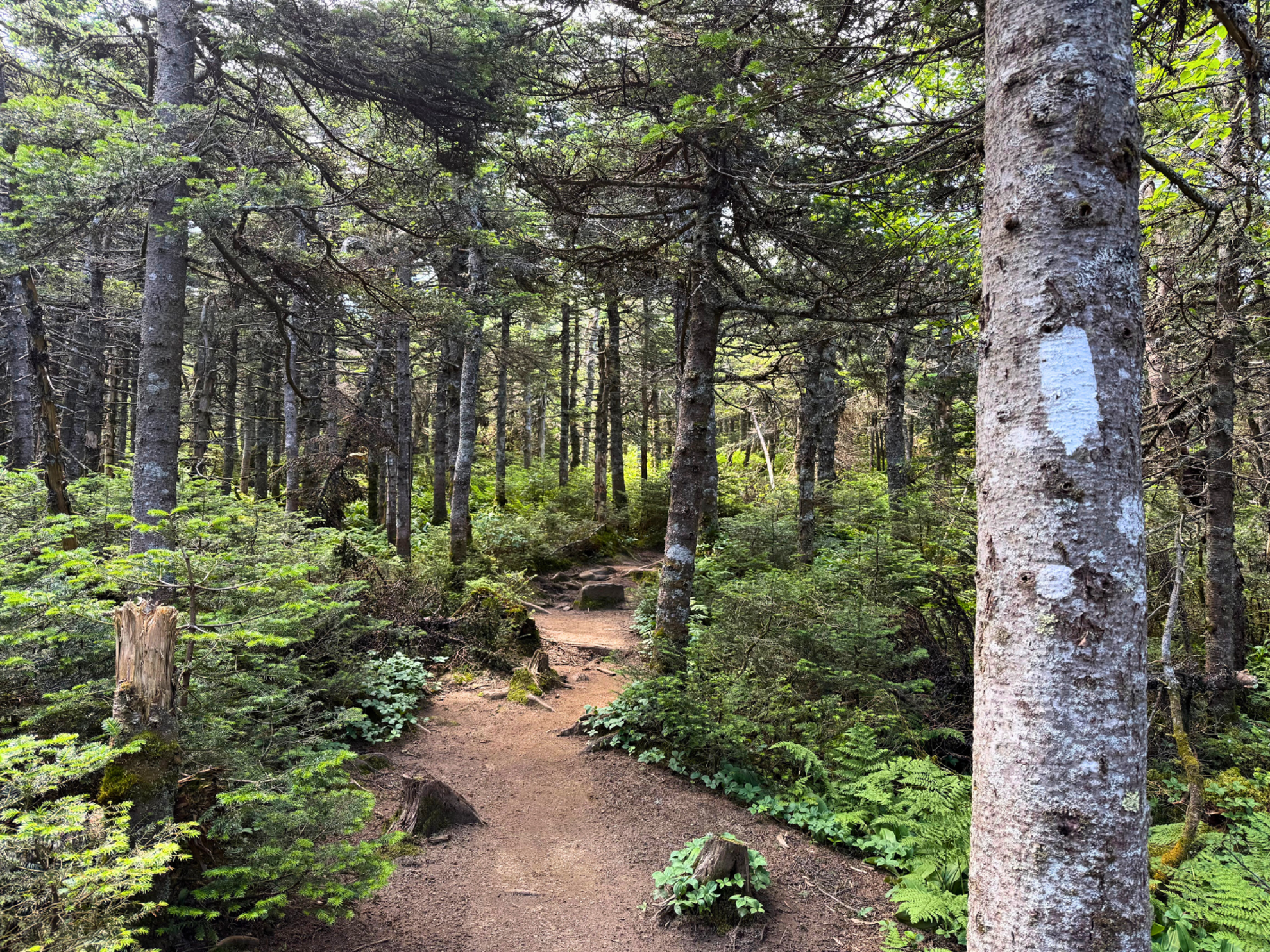 Picture of Slackpacking® New Hampshire