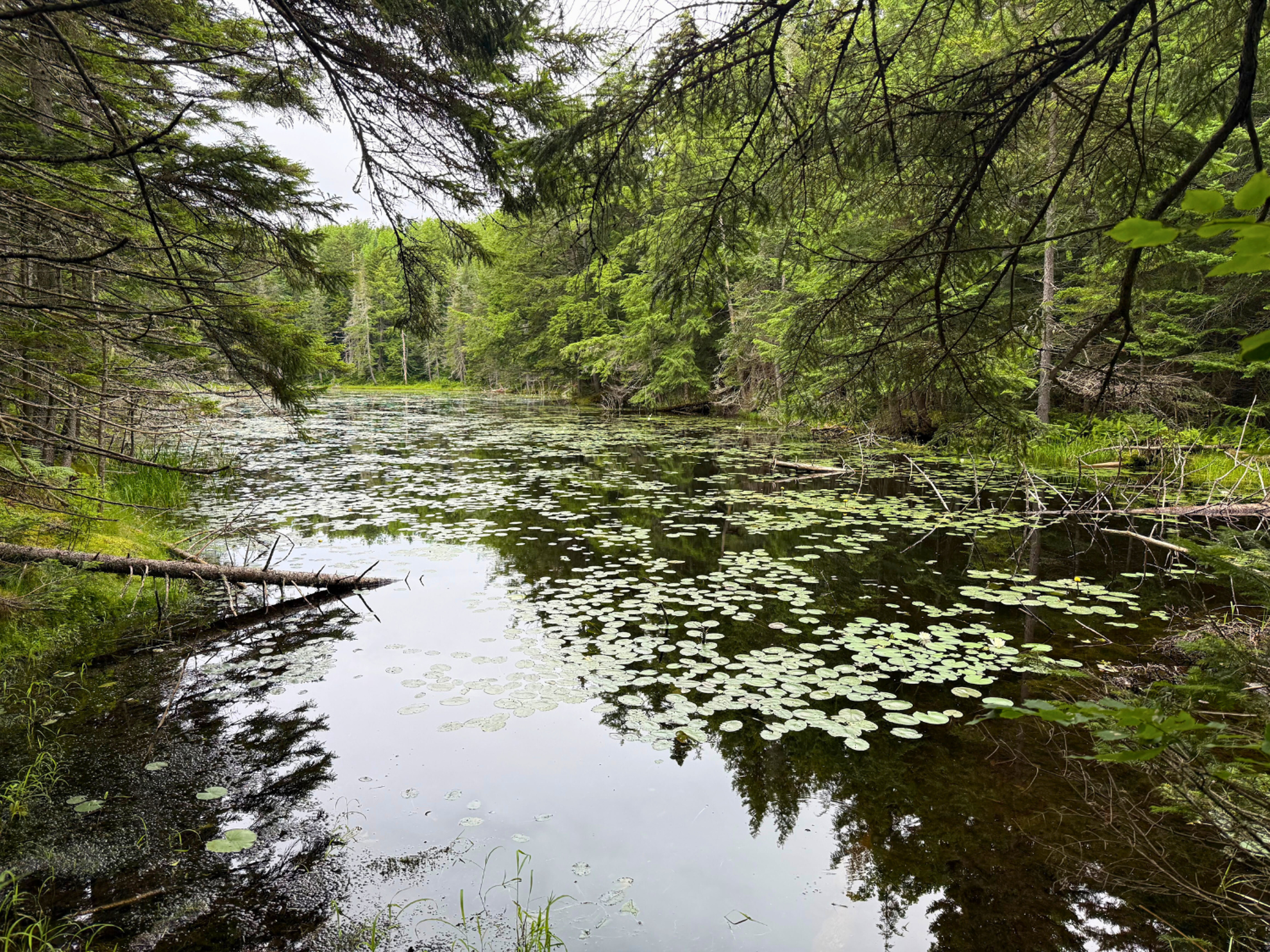 Picture of Slackpacking® New Hampshire