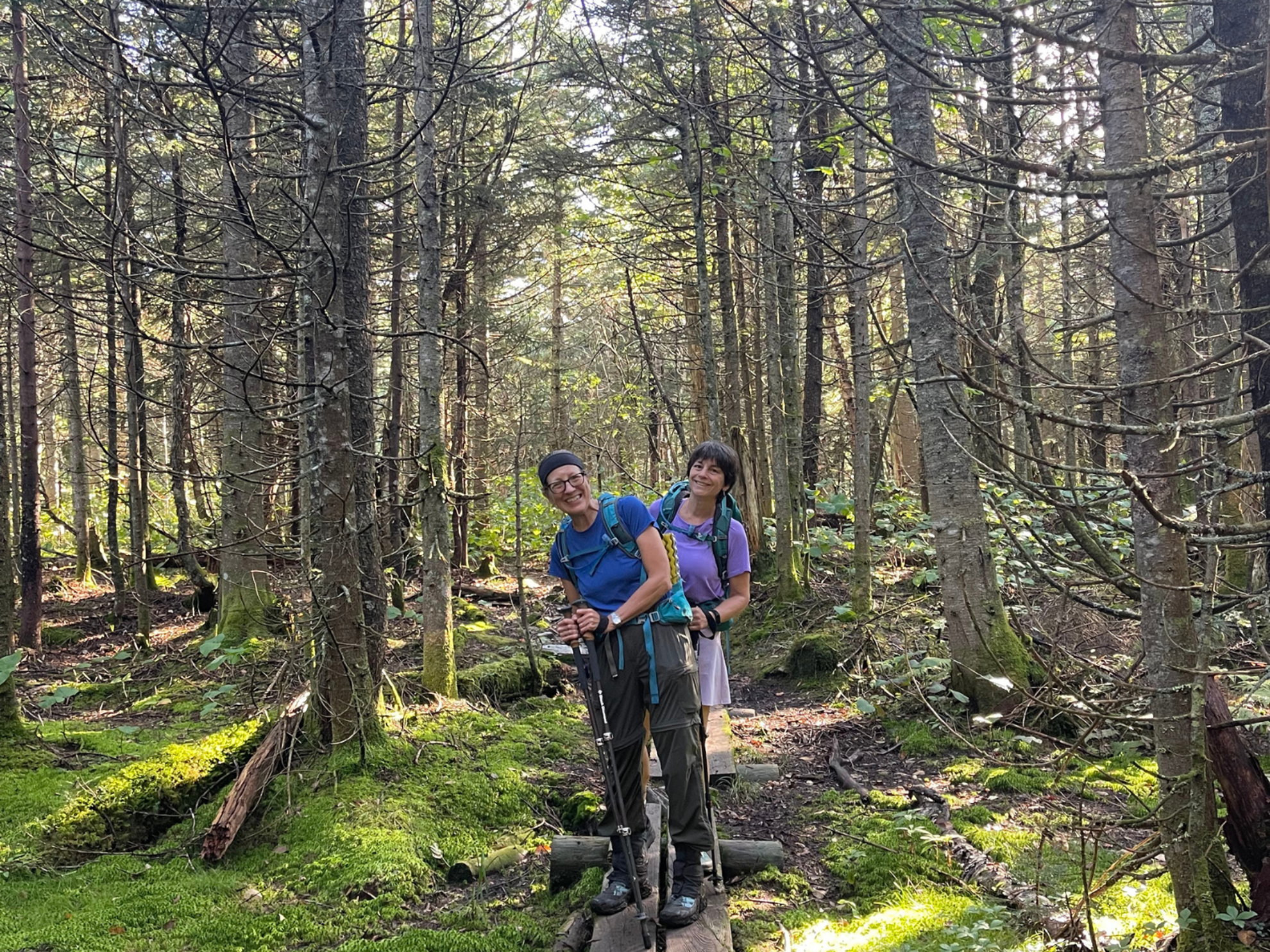 Picture of Slackpacking® New Hampshire