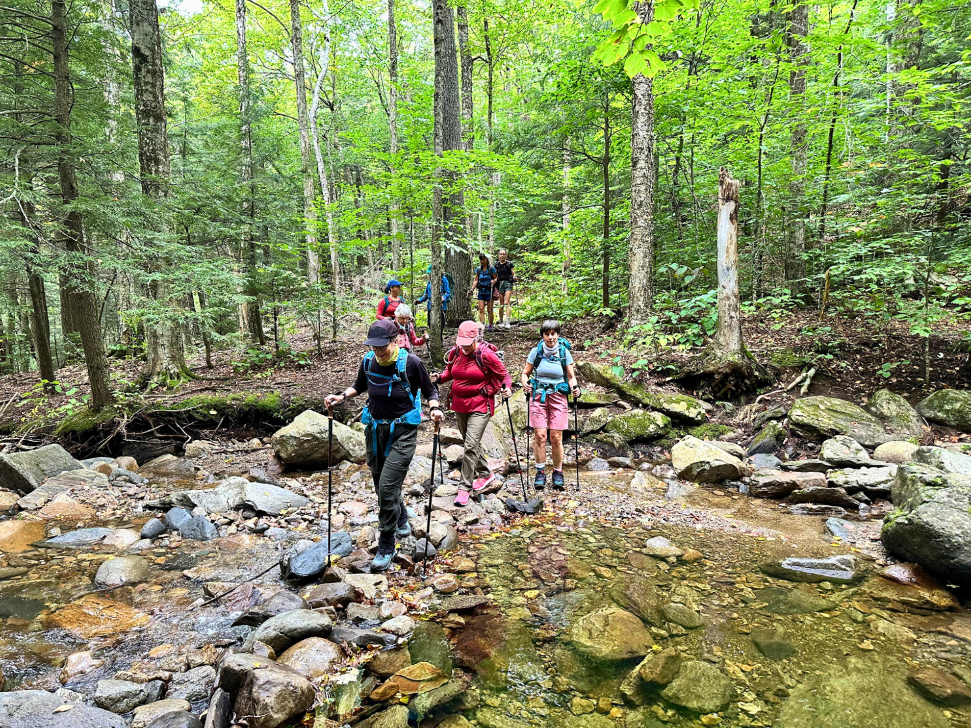 Picture of Slackpacking® New Hampshire