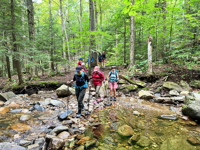 Picture of Slackpacking® New Hampshire