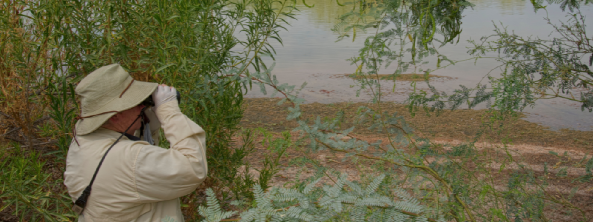 The Ultimate Gift Guide for Bird Lovers (2025 Edition)