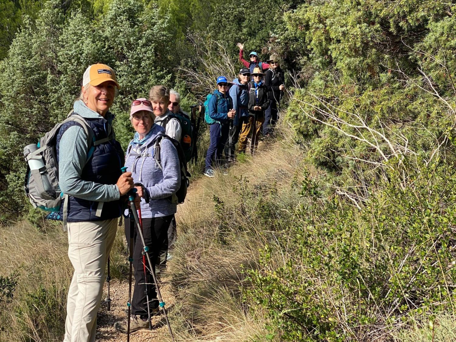 Picture of Colors of Provence