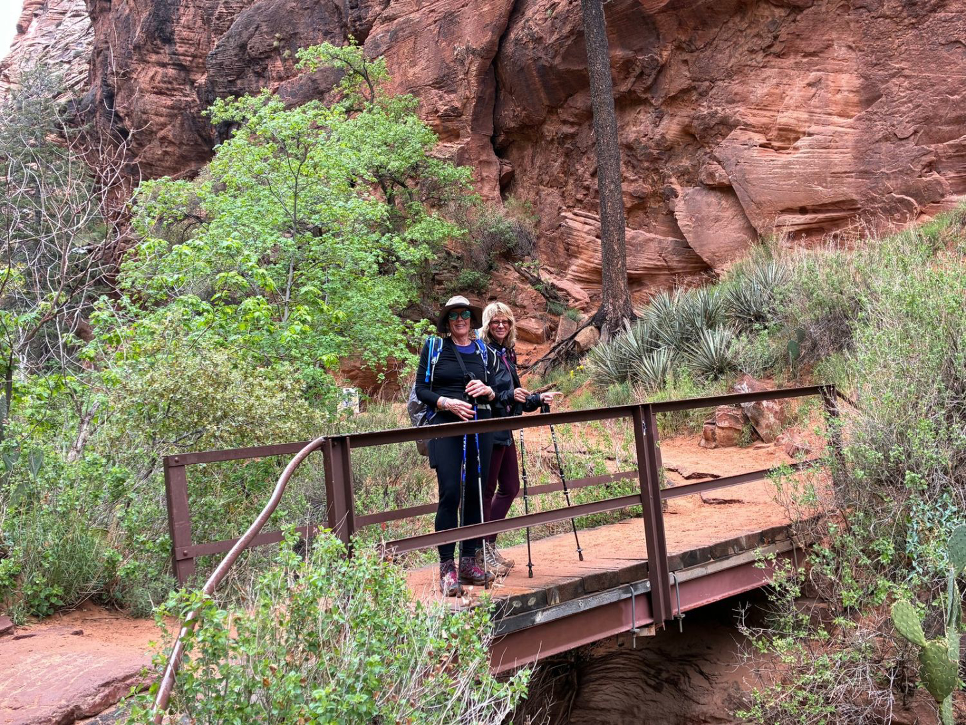 Picture of Hiking Bryce and Zion National Parks