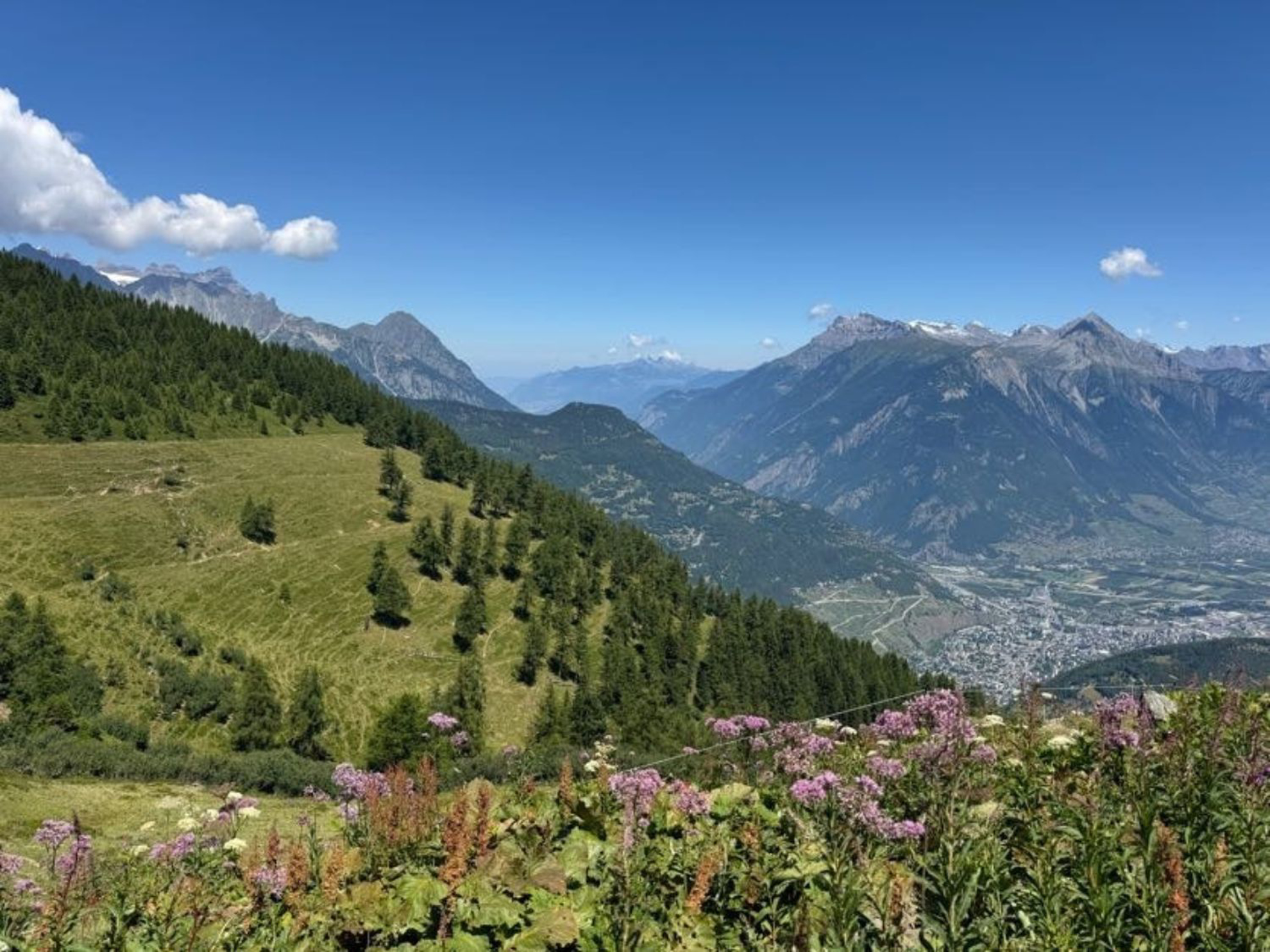 Picture of Tour du Mont Blanc Highlights