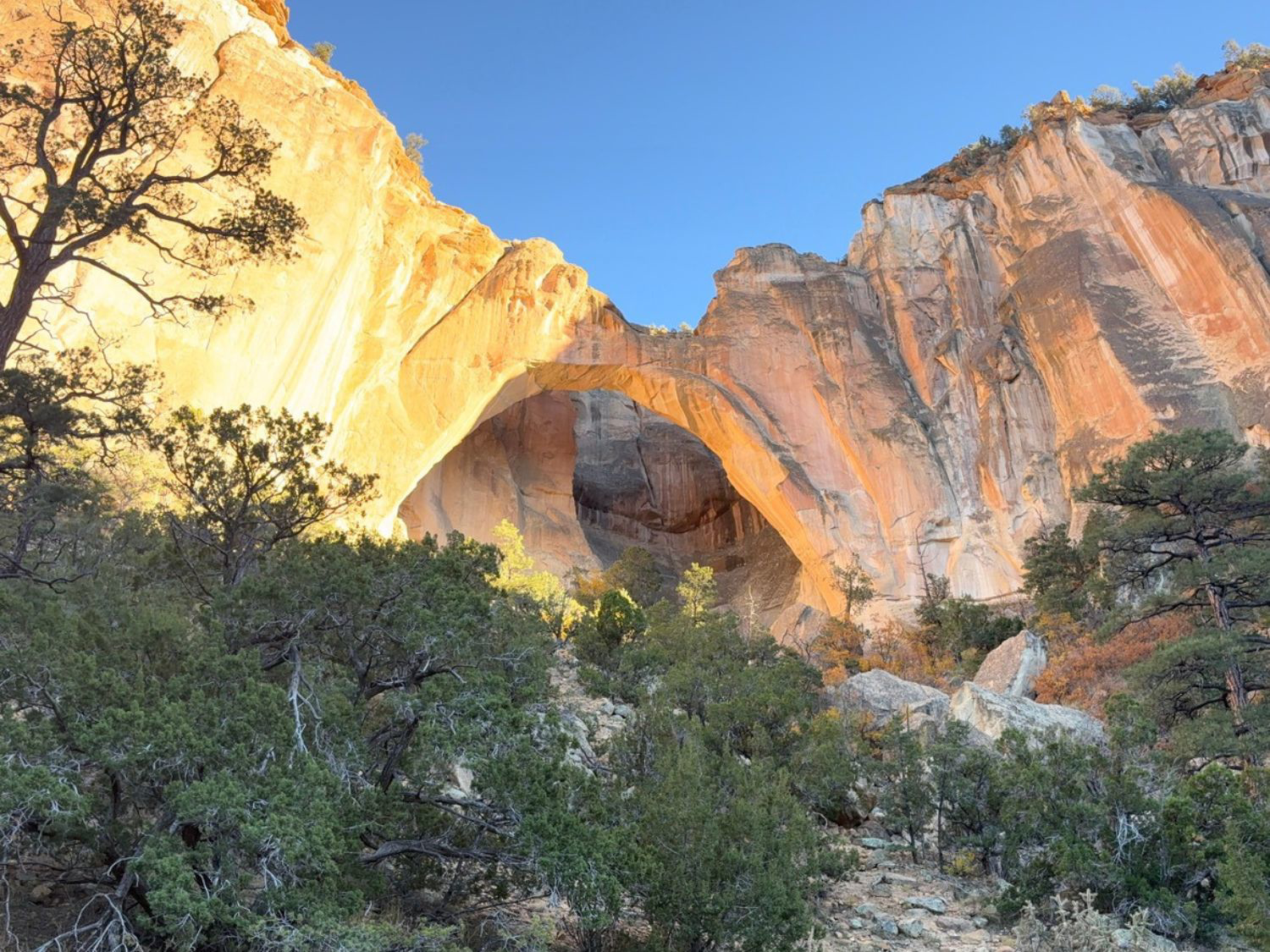 Picture of Exploring New Mexico - Land of Enchantment