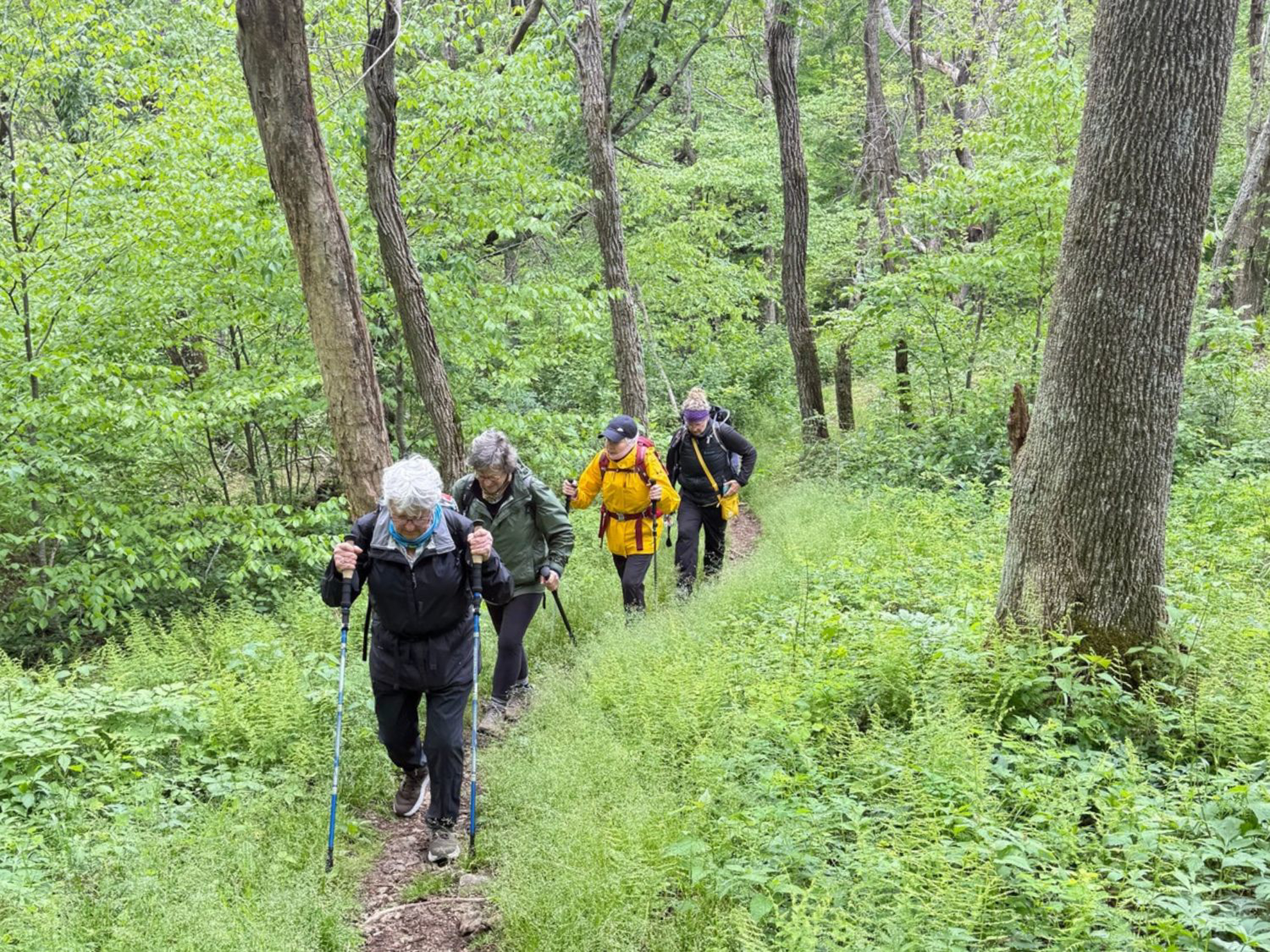 Picture of Hiking through History in Shenandoah National Park